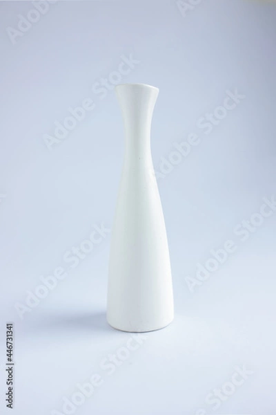 Obraz white vase