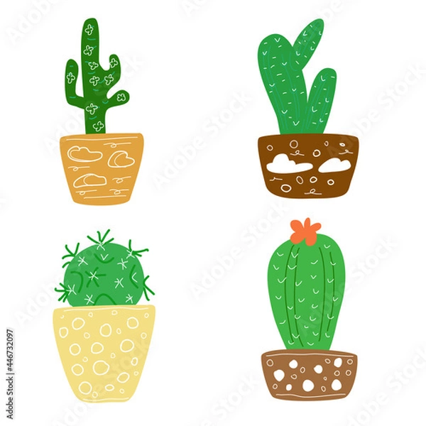 Fototapeta A set of different types of cacti in pots.