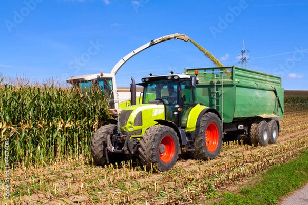 Fototapeta Maisernte