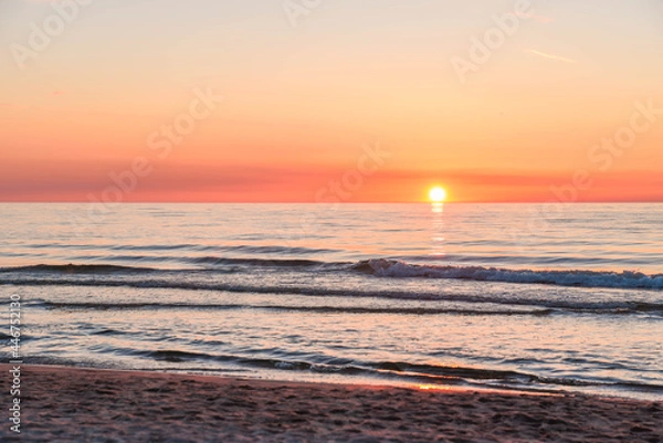 Fototapeta Muszelka na plaży w Kołobrzegu.