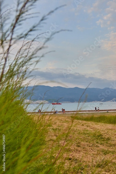 Obraz irrigation system in the field