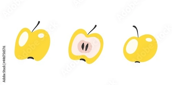 Fototapeta Apple vector illustration, isolated on a white background. Set of apple illustrations. 
