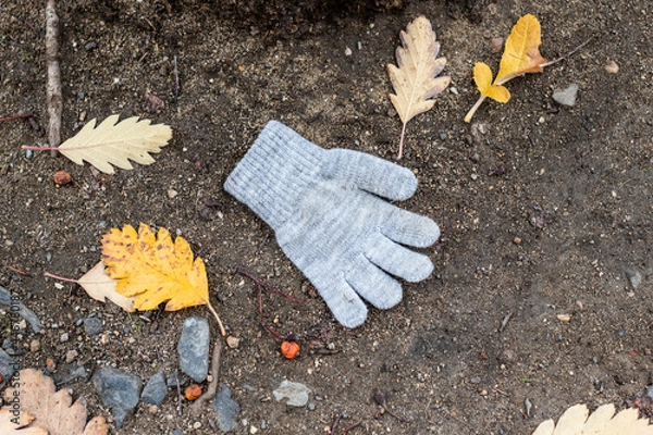 Fototapeta One knitted toddler glove on the Ground in the Soil