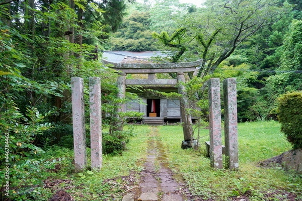 Obraz 森の中の古い神社