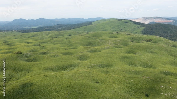 Fototapeta 秋吉台　山口県　カルスト