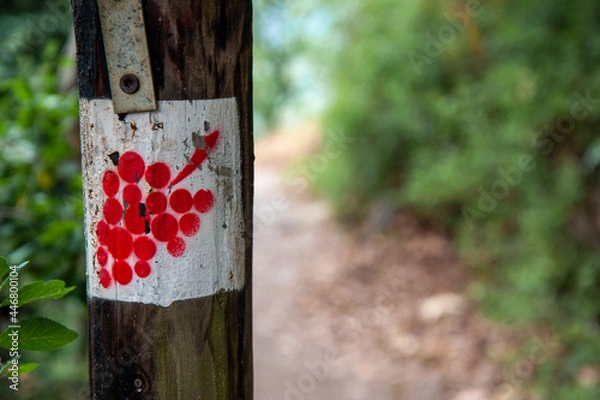 Obraz Ahr Valley, Rhineland Paltinate, Germany - July 15 2019: Signposts of the 'Rotweinwanderweg', the Red Wine Hiking Trail in Germany's Ahr Valley