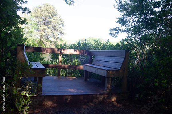 Obraz bench in the park