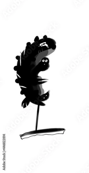 Obraz black and white feathers