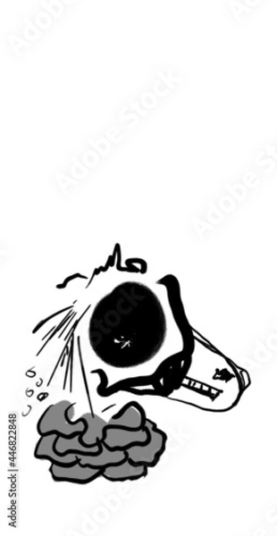 Obraz black and white