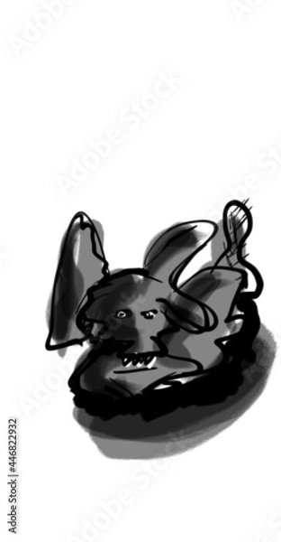 Obraz black and white