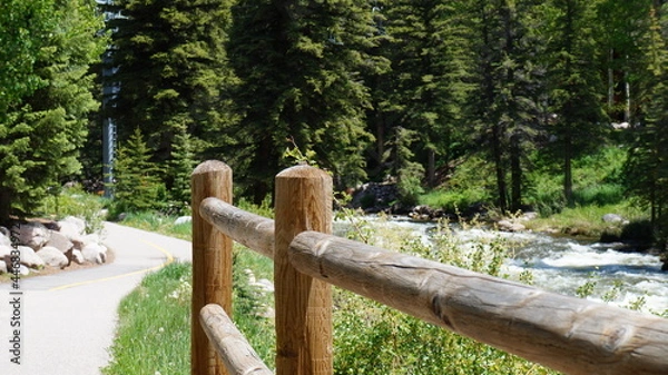 Fototapeta The river in the forest with a fence near Vail, CO