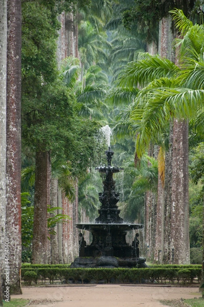 Fototapeta Jardim Botânico do Rio de Janeiro, um dos pontos turísticos obrigatórios da capital do estado, com muita beleza e locais aprazíveis. Brasil