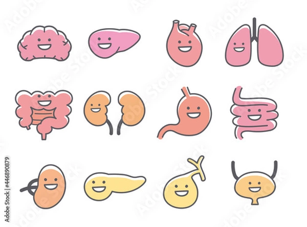 Obraz 人間の内臓や臓器の笑顔のキャラクターアイコン