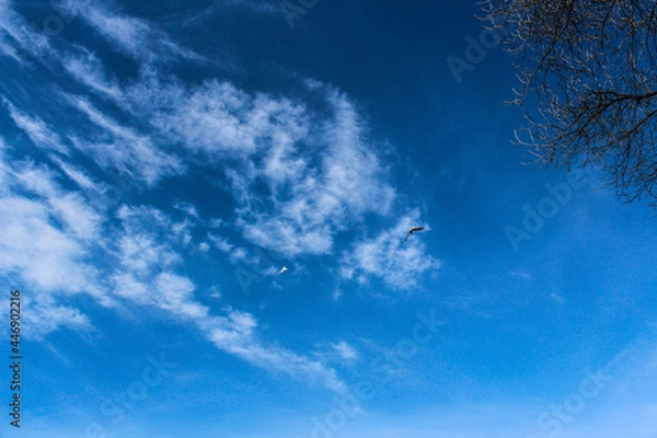 Obraz Spindrift clouds