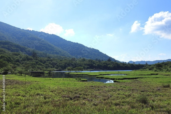 Fototapeta 覚満淵　赤城山