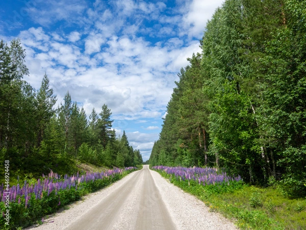 Fototapeta Gravel road with forest, flowers and blue skies