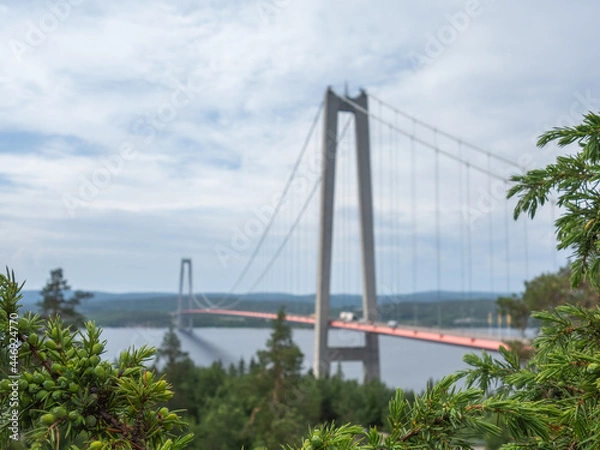Fototapeta View of Högakustenbron in Sweden with trees in foreground