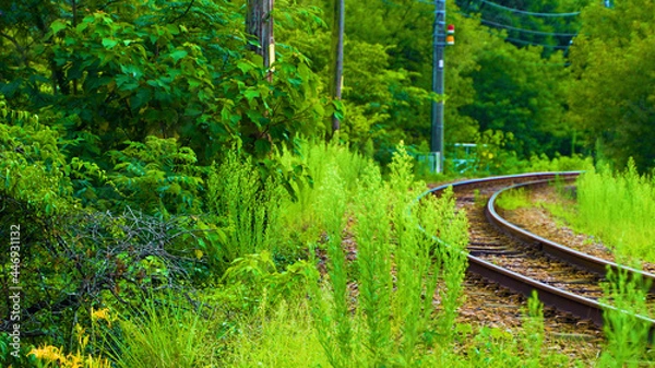 Obraz 自然を走る列車の通り道