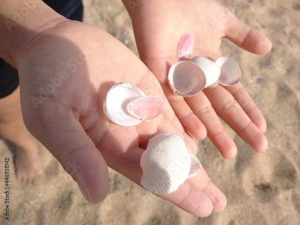 Obraz hand holding pills