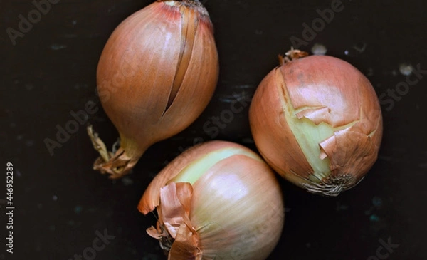 Obraz Warzywa, cebula, składnik