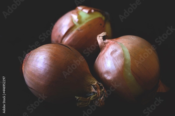 Obraz Warzywa, cebula, składnik