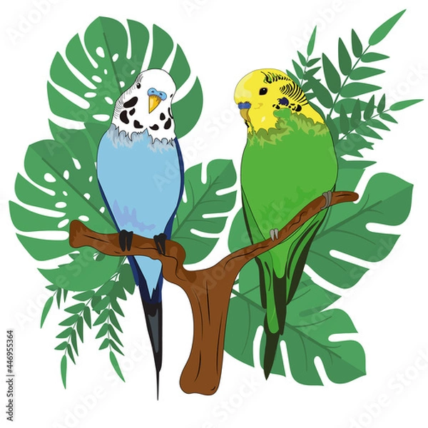 Fototapeta Two budgies are sitting on a branch. One blue parrot, the second green parrot. Tropical leaves in the back