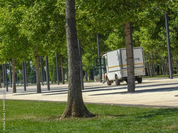 Obraz park in the city