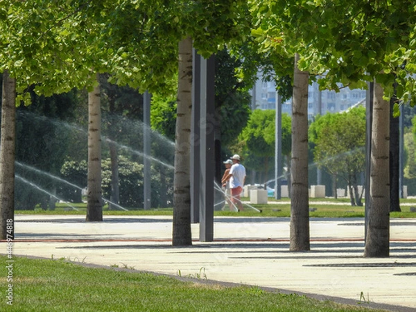 Obraz person in the park