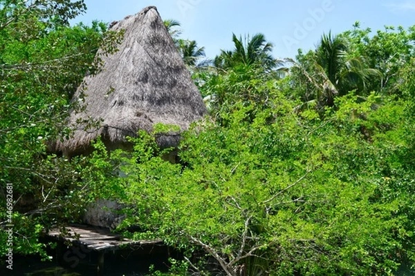 Obraz stump in the forest