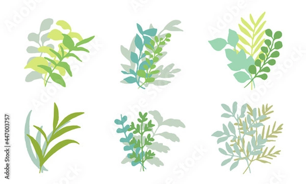 Fototapeta 手書きタッチの草木。緑の葉っぱベクターイラストセット。