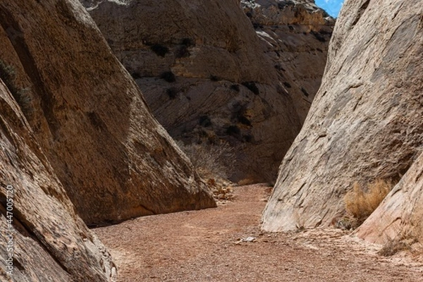 Fototapeta On the Trail