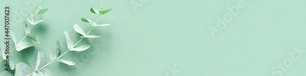 Fototapeta The banner of the eucalyptus branch on a mint background is Minimalism. Background for Eco-cosmetics. Flat lay, top view, copy space.