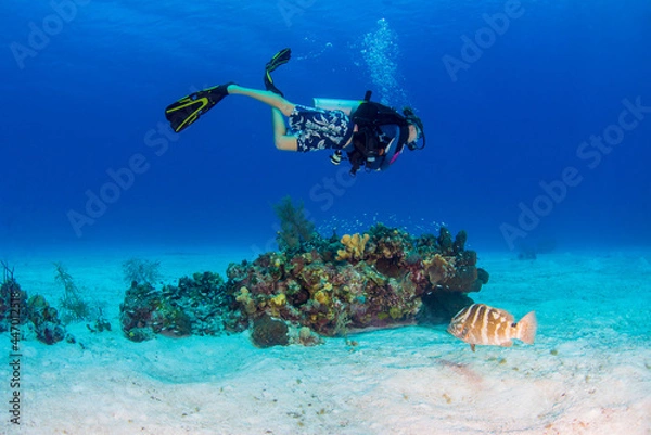 Obraz scuba diver and coral reef