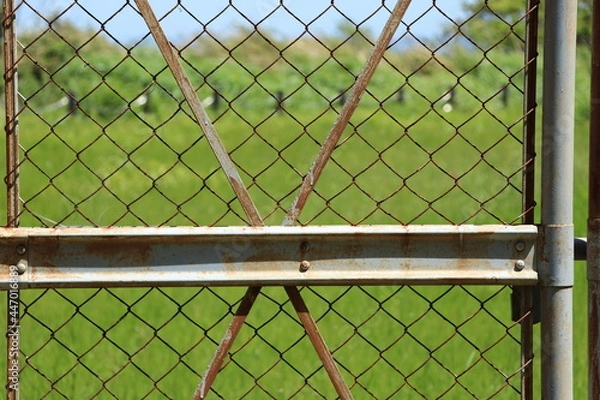 Fototapeta 有刺鉄線と鉄柵