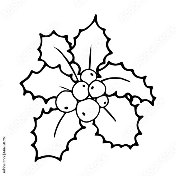 Obraz Christmas holly berry.