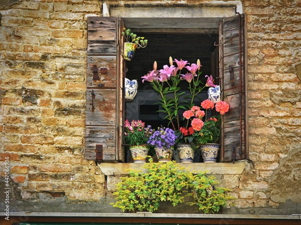 Obraz window with flowers