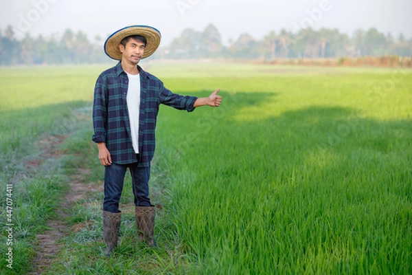 Obraz An Asian man in a blue striped shirt is standing in a field with thumbs up.