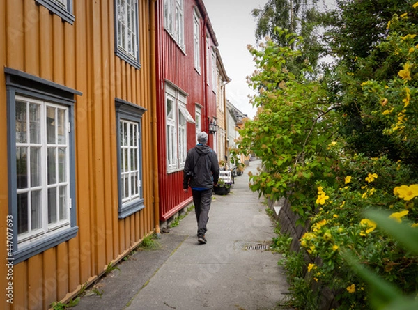 Fototapeta Tourist on narrow street with traditional colourful wooden houses in Trondheim