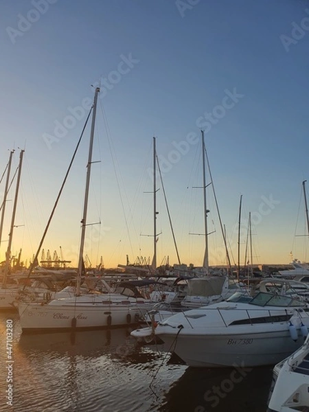 Obraz yachts in the harbor