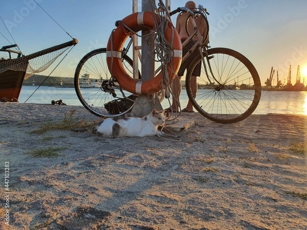 Obraz bike on the beach