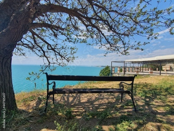 Obraz bench in the park