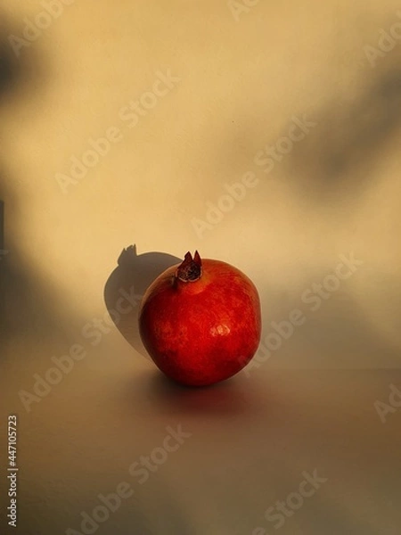 Obraz pomegranate