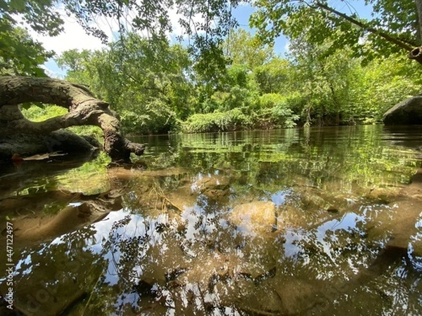 Obraz pond in the park
