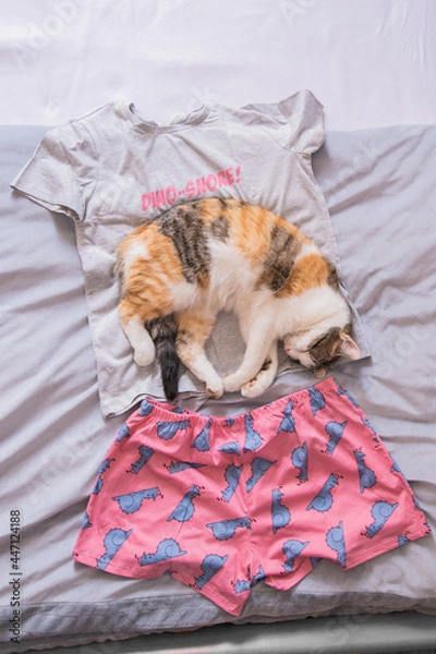 Fototapeta Dino Snore