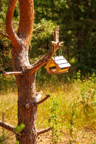 Obraz tree in the park