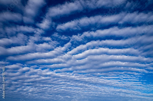 Fototapeta Cirrus clouds
