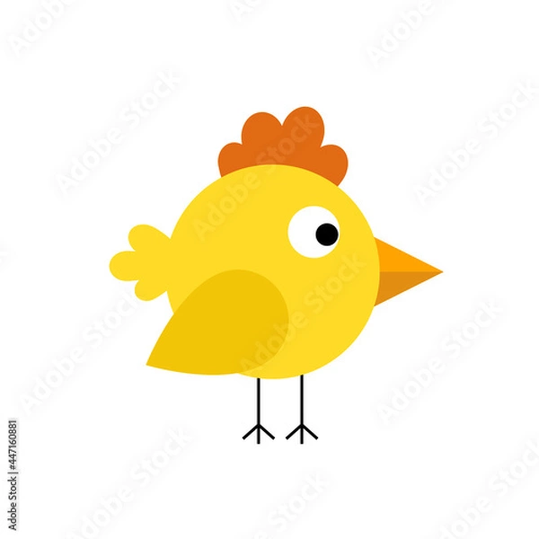 Fototapeta Chicken baby isolated on white. Cute little bird illustration in flat style