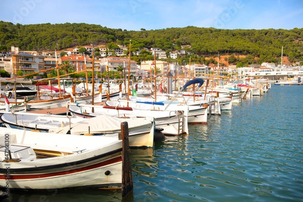 Obraz Harbor Estartit Spain