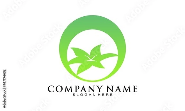 Obraz Simple leaf vector logo