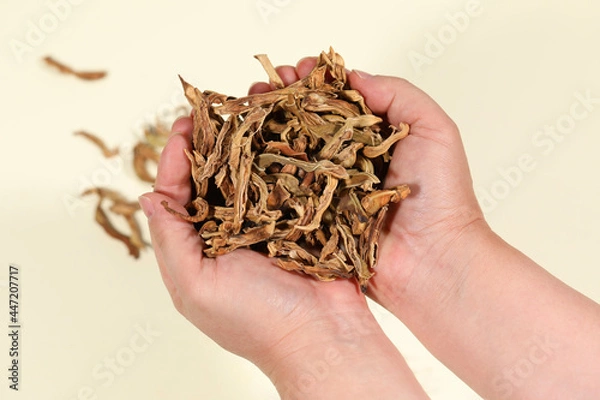 Obraz dry sword bean close-up